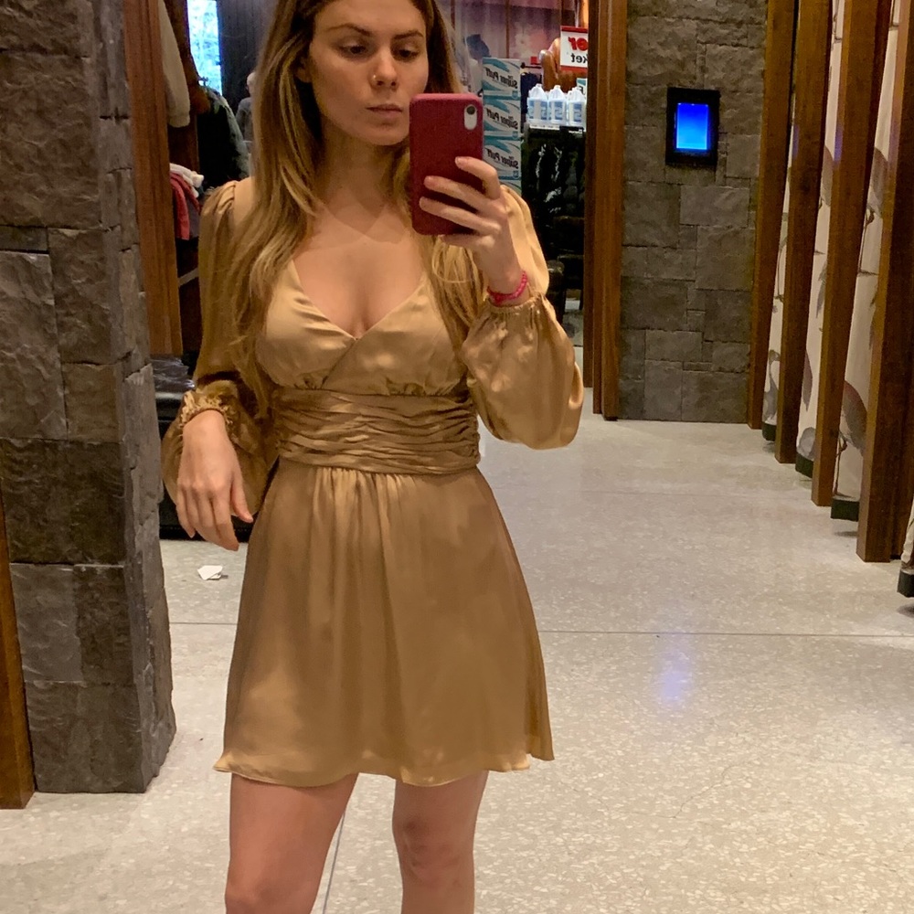 Aritzia dress